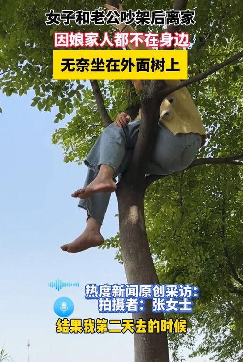 和老公在树上,我与老公的甜蜜树屋生活