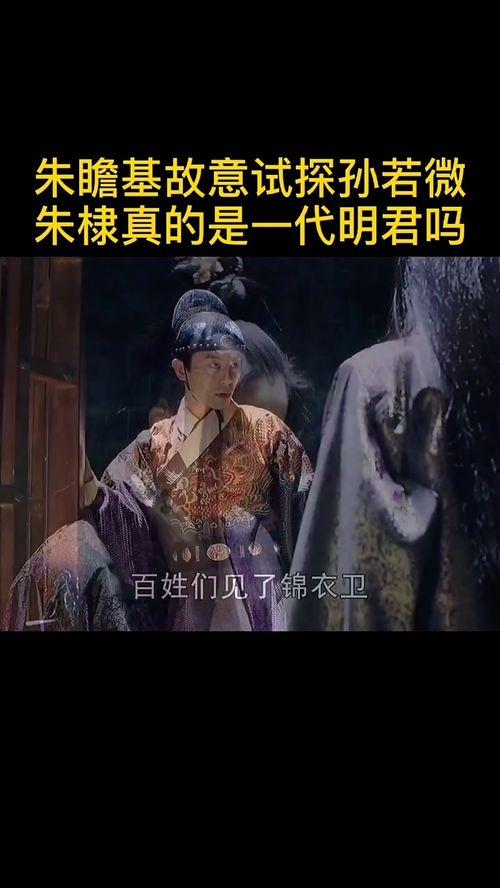 大明风华免费观看05集,宫廷权谋风云再起，揭秘神秘人物身份之谜