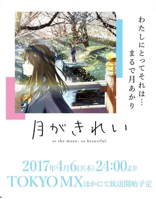 月色真美在线播放樱花网,浪漫邂逅绽放春日樱花盛宴