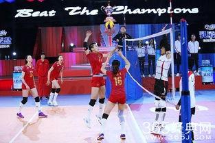 来吧冠军明星片酬,揭秘明星竞技真人秀背后的经济真相