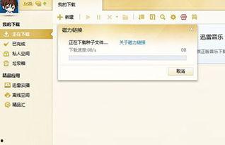 明星援交磁力迅雷下载,磁力迅雷下载背后的真相