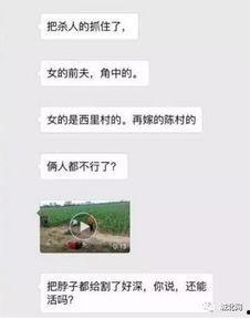 藁城网友爆料最新信息,最新事件详情曝光，真相揭晓！