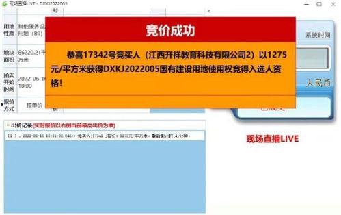 片平育江在线播放,探寻日本动画大师的奇幻世界