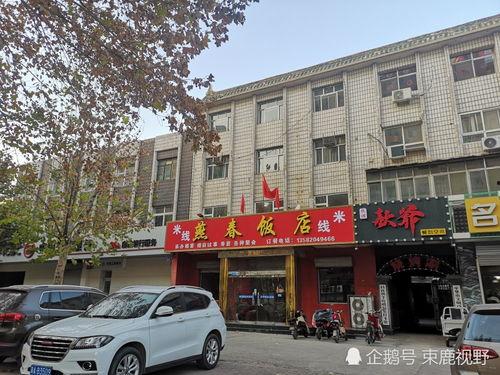 石家庄菜价最新爆料