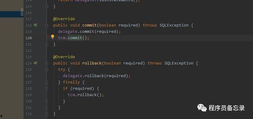 二级午夜理论在线播放