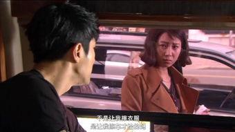 最佳情电视剧在线播放,重温经典，在线播放重温感动